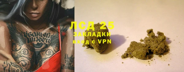 гашик Арсеньев