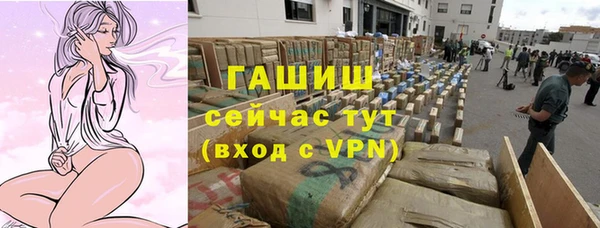 гашик Арсеньев