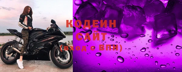 гашик Арсеньев