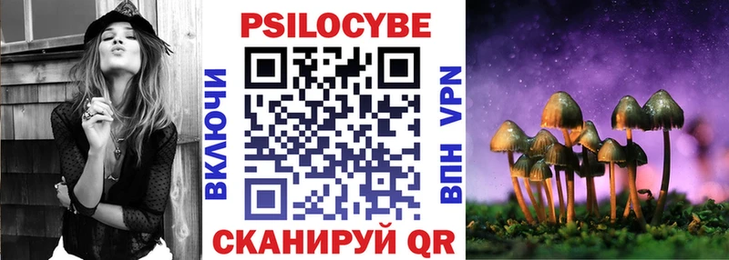 Галлюциногенные грибы Psilocybe  ссылка на мегу зеркало  Бородино 
